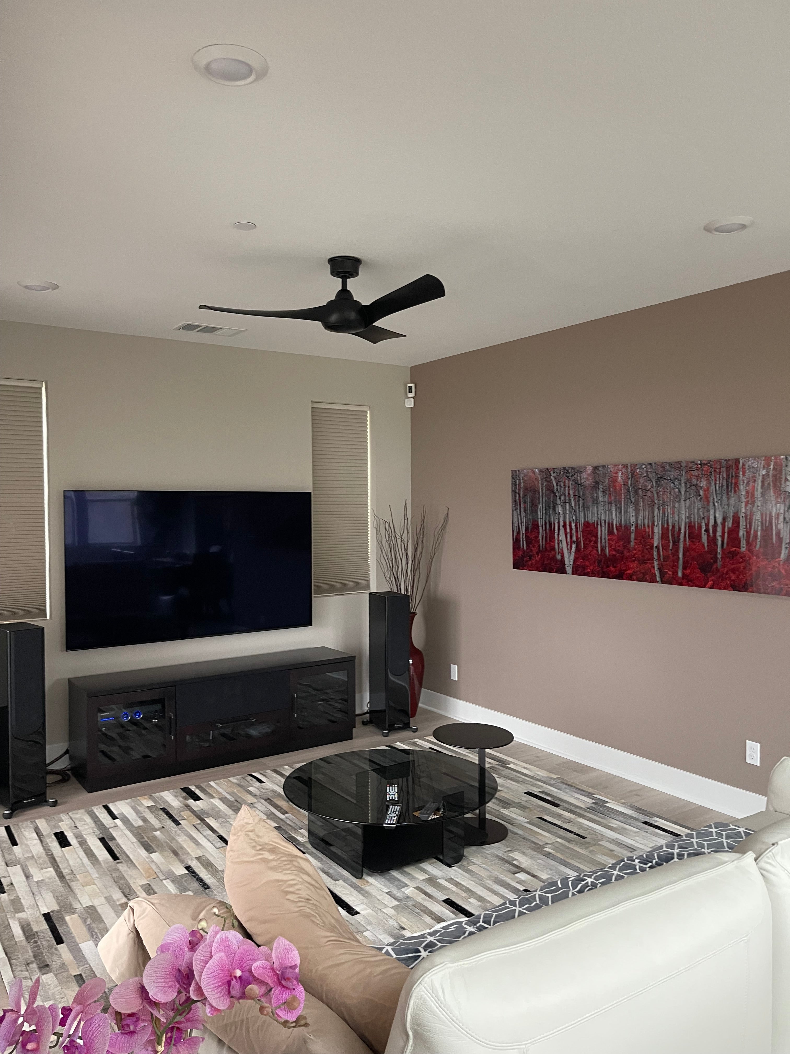 Fanimation Wrap installed in a living room